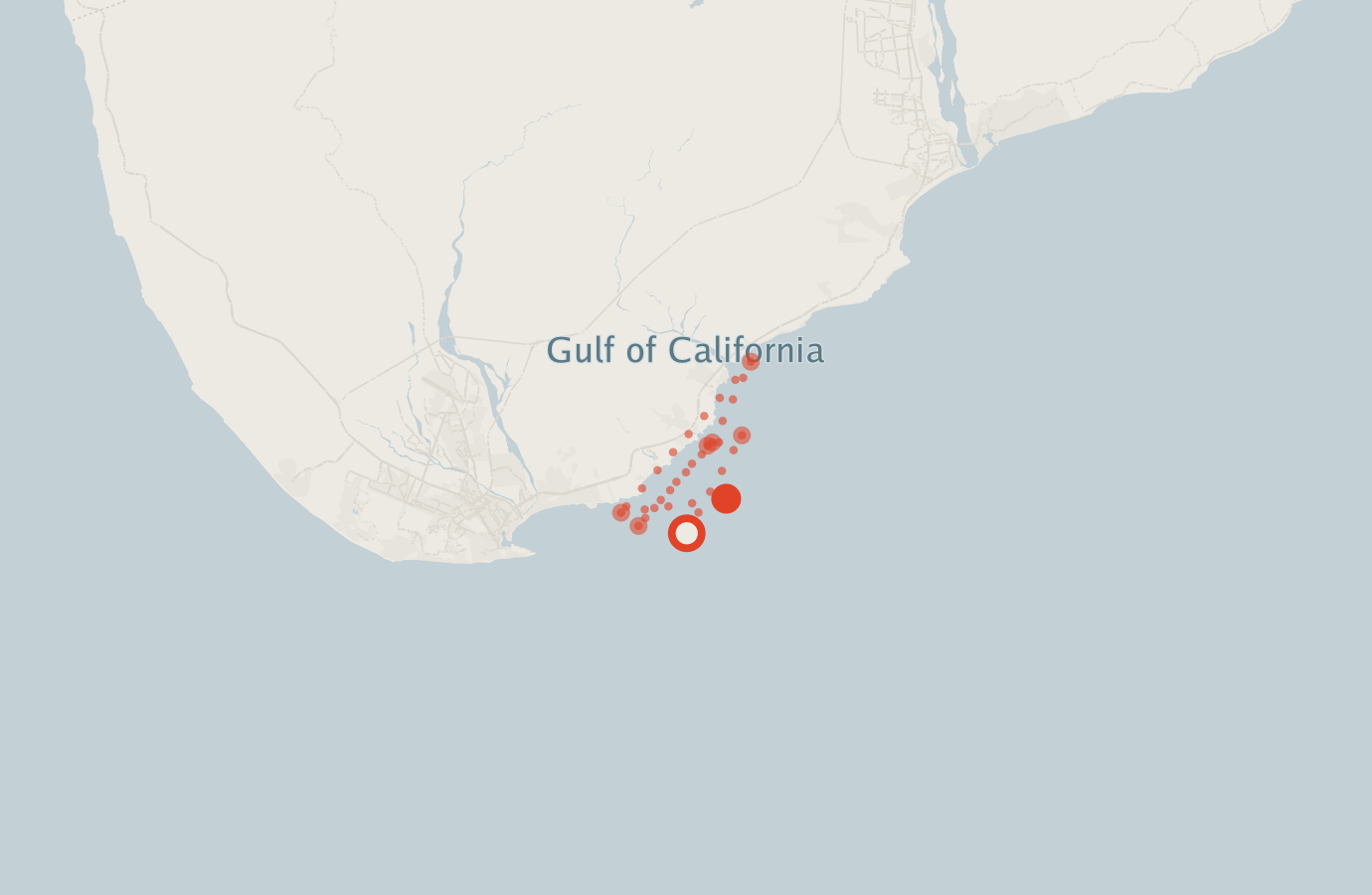 Activity map — real sighting points on an OpenStreetMap basemap