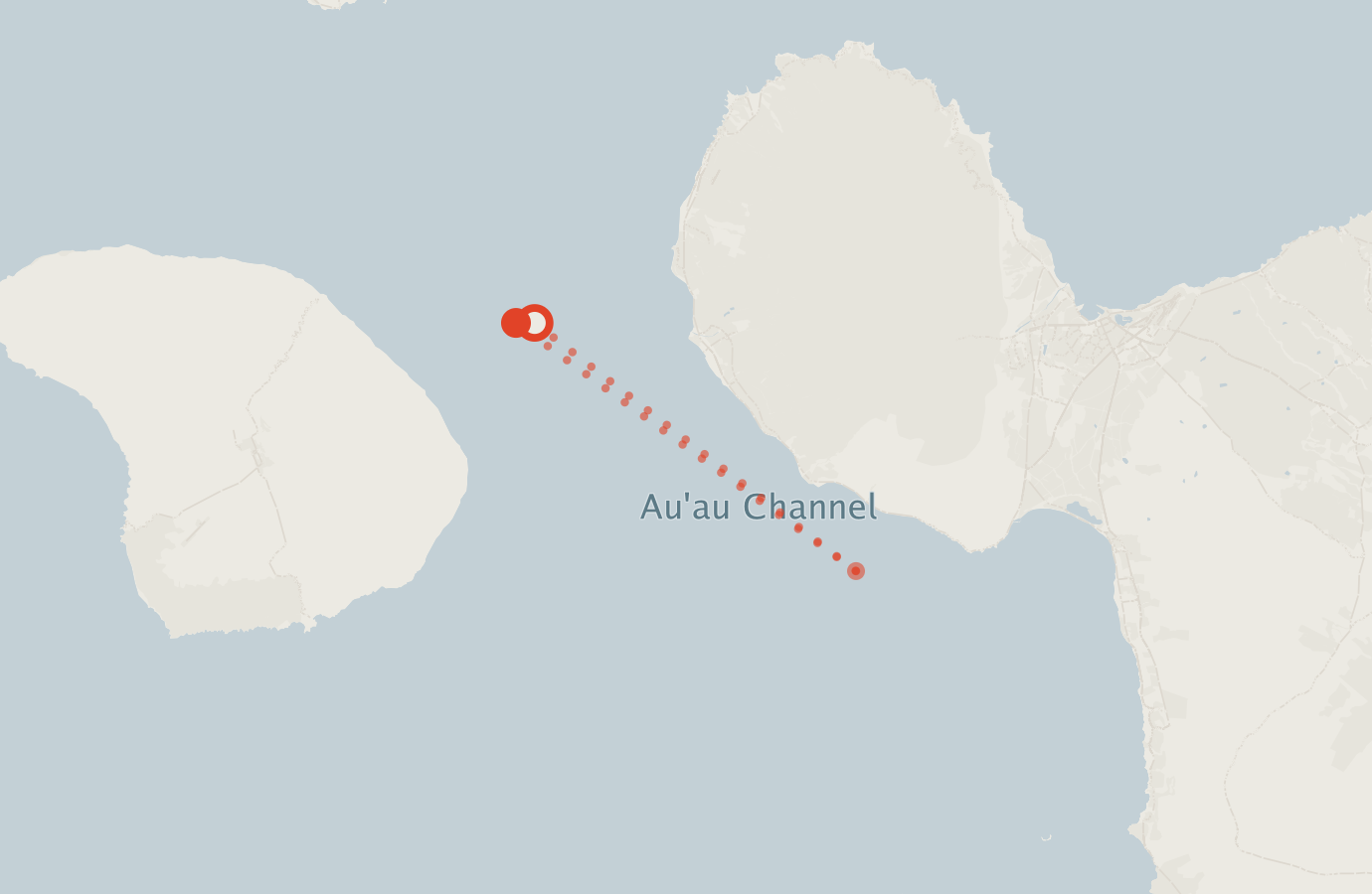 Activity map — real sighting points on an OpenStreetMap basemap
