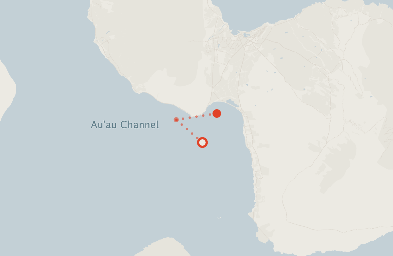 Activity map — real sighting points on an OpenStreetMap basemap