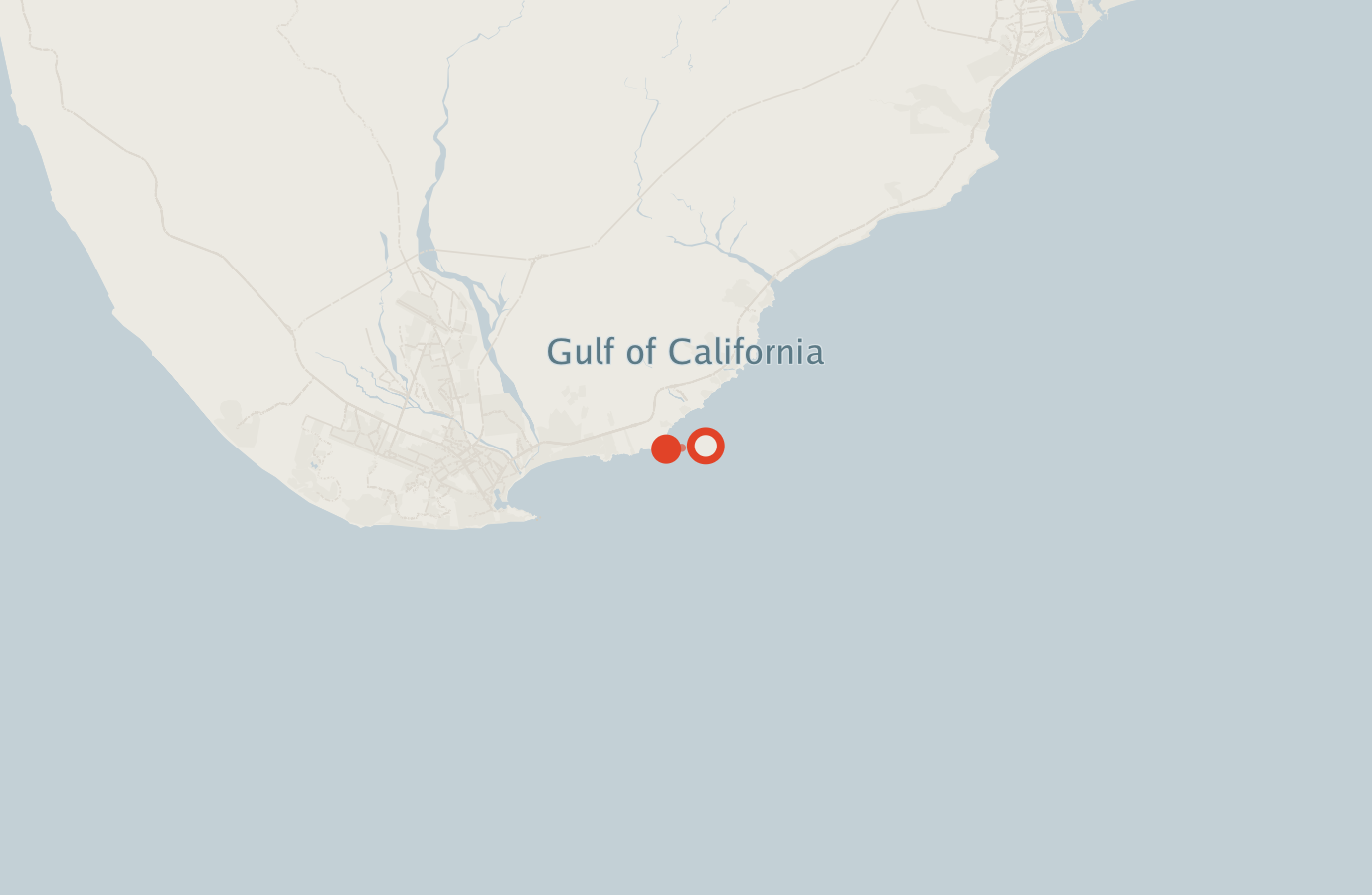 Activity map — real sighting points on an OpenStreetMap basemap