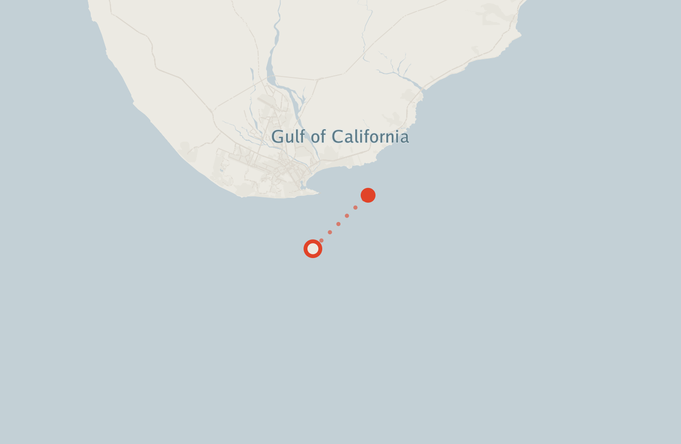 Activity map — real sighting points on an OpenStreetMap basemap