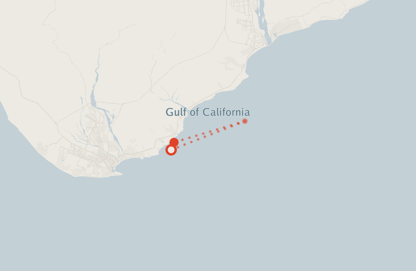 Activity map — real sighting points on an OpenStreetMap basemap