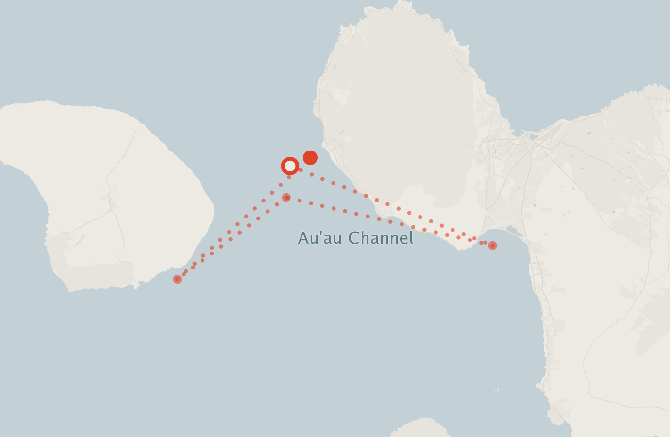 Activity map — real sighting points on an OpenStreetMap basemap