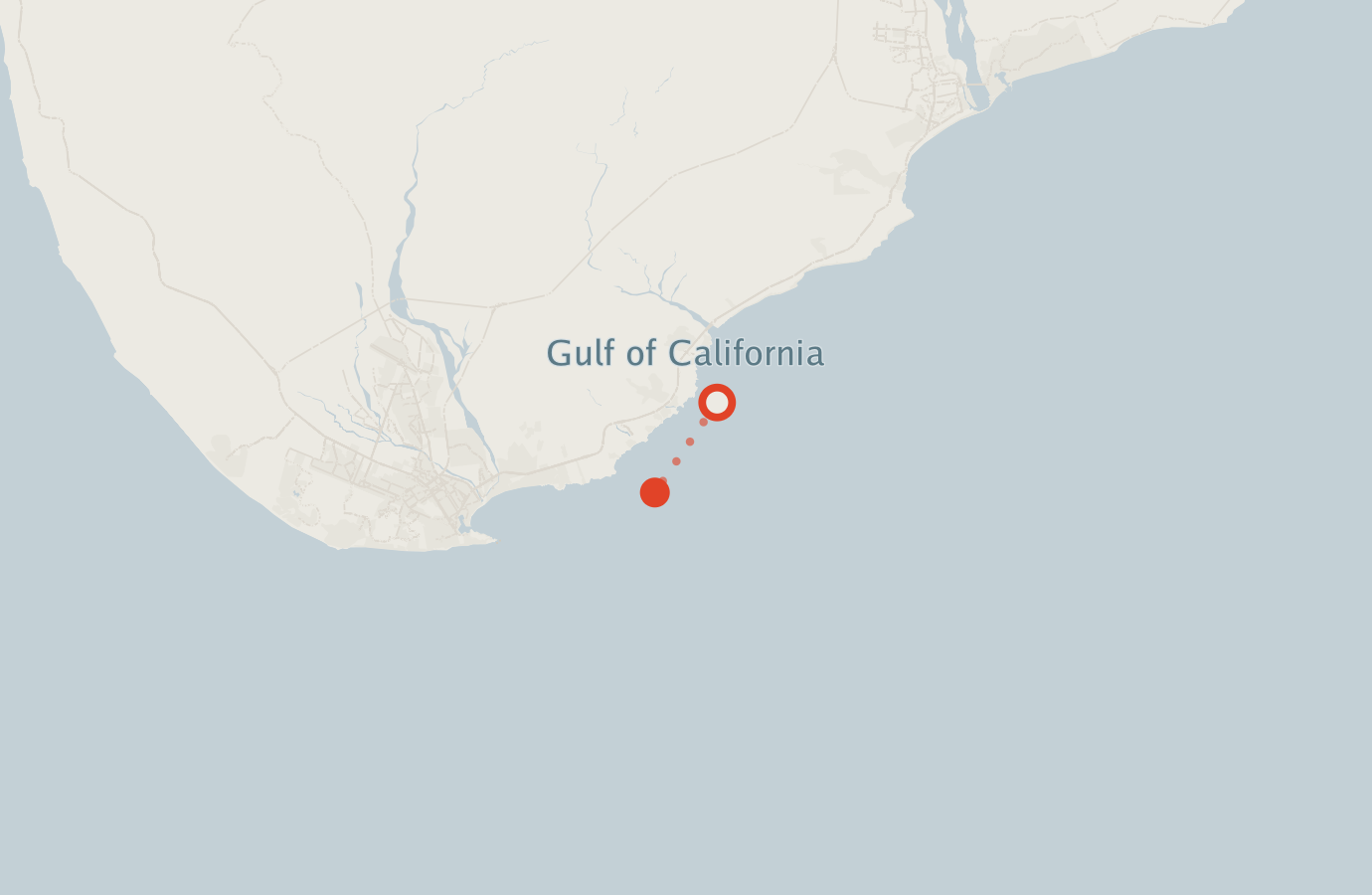 Activity map — real sighting points on an OpenStreetMap basemap