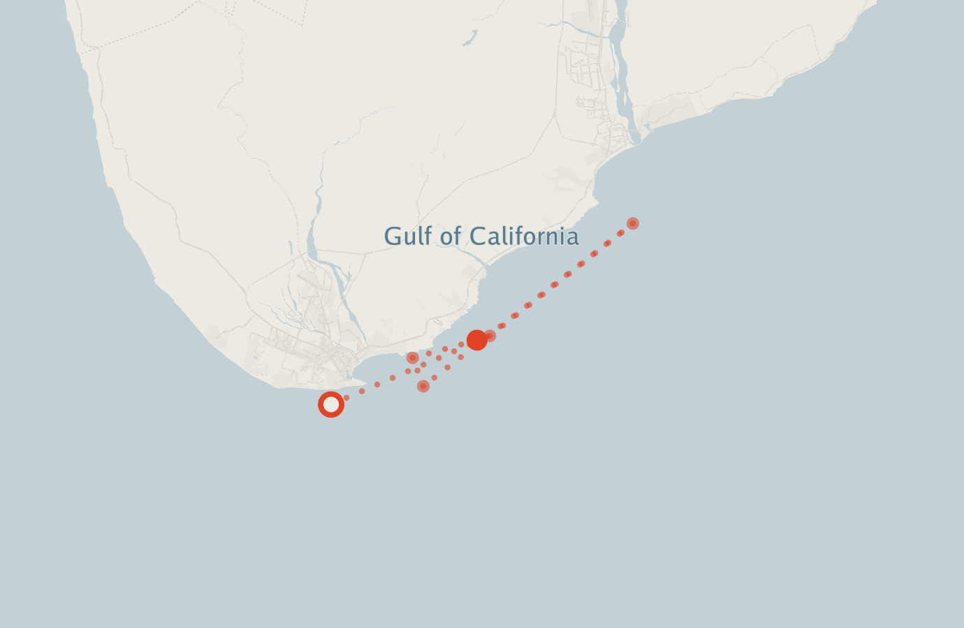 Activity map — real sighting points on an OpenStreetMap basemap