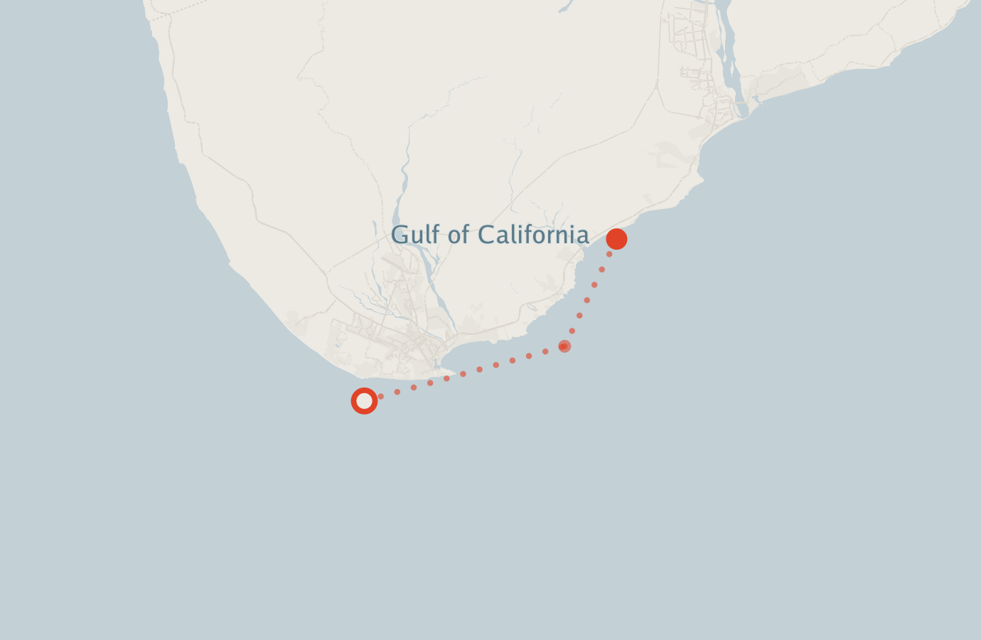 Activity map — real sighting points on an OpenStreetMap basemap
