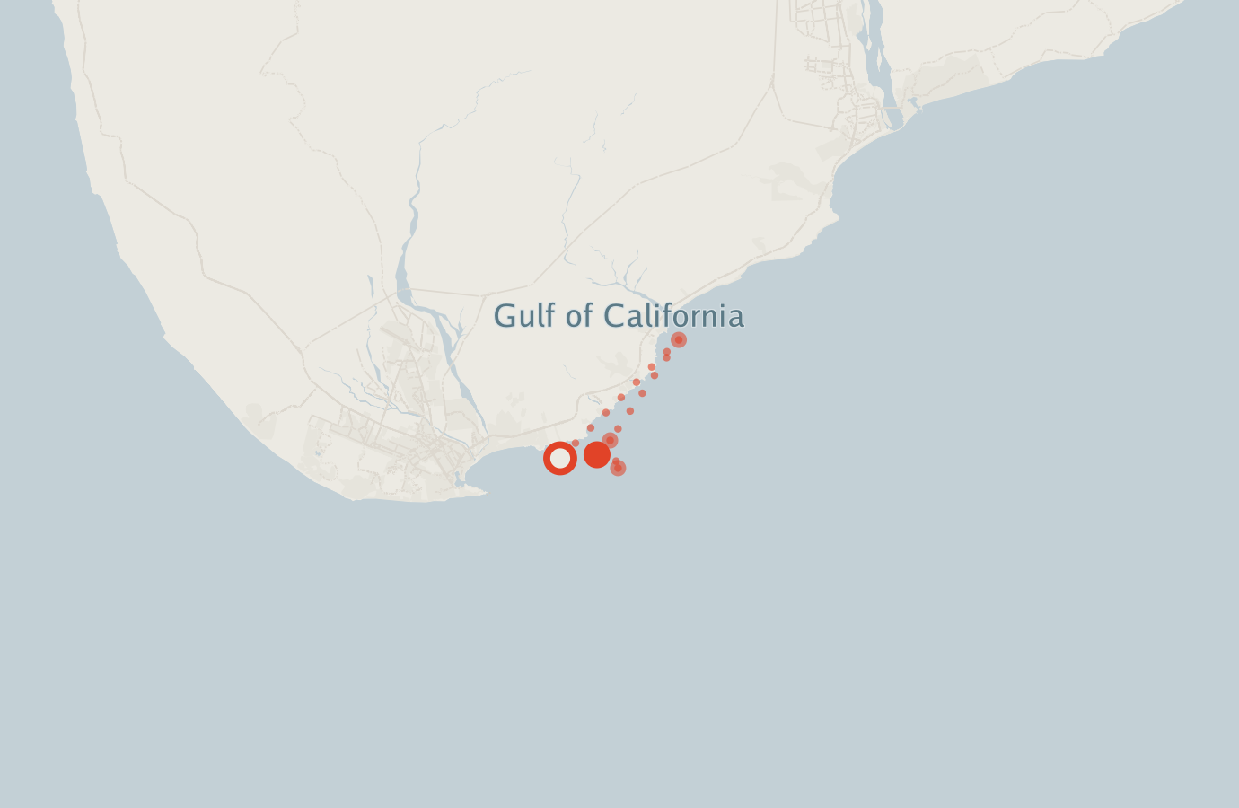 Activity map — real sighting points on an OpenStreetMap basemap