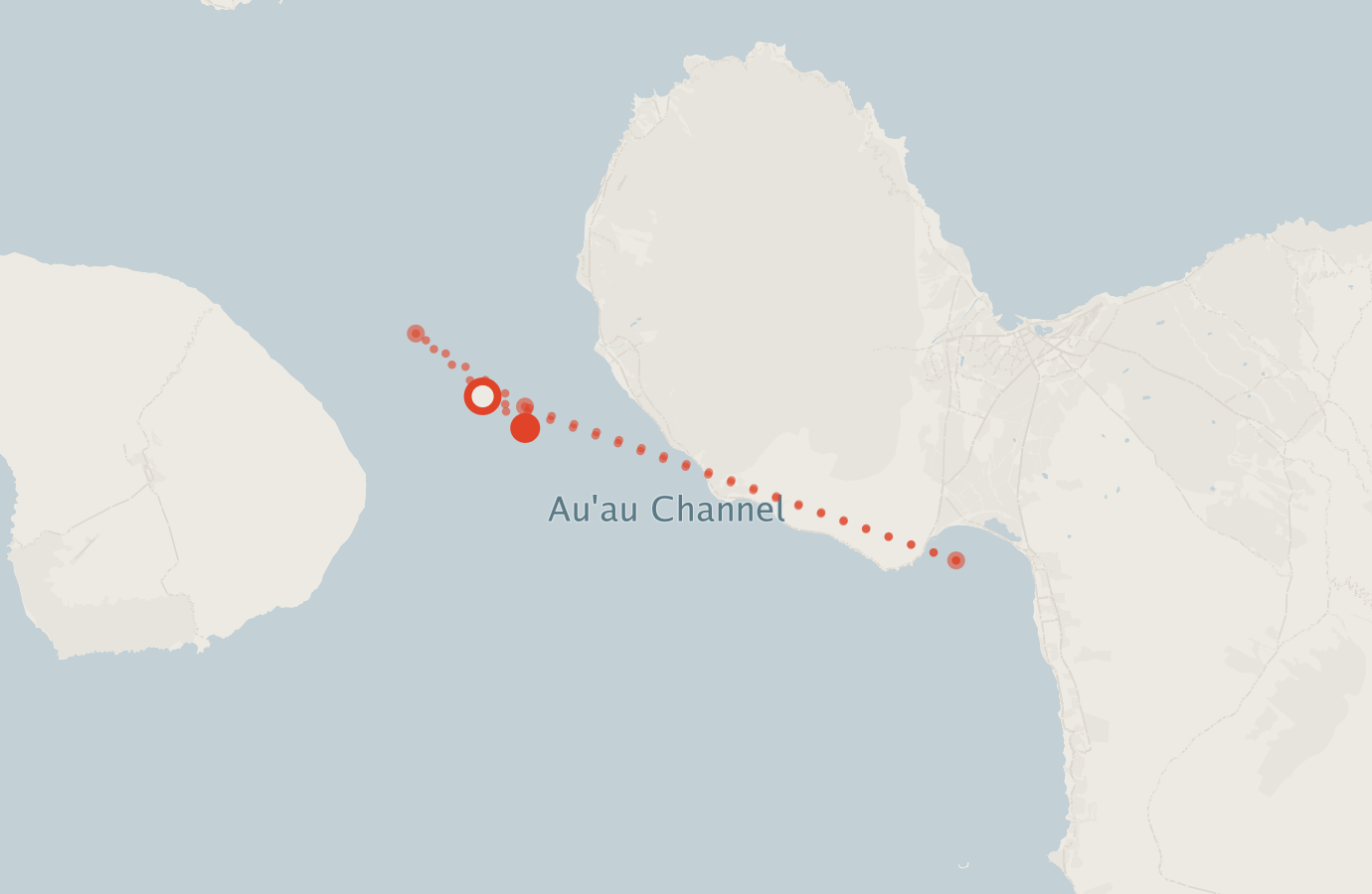 Activity map — real sighting points on an OpenStreetMap basemap