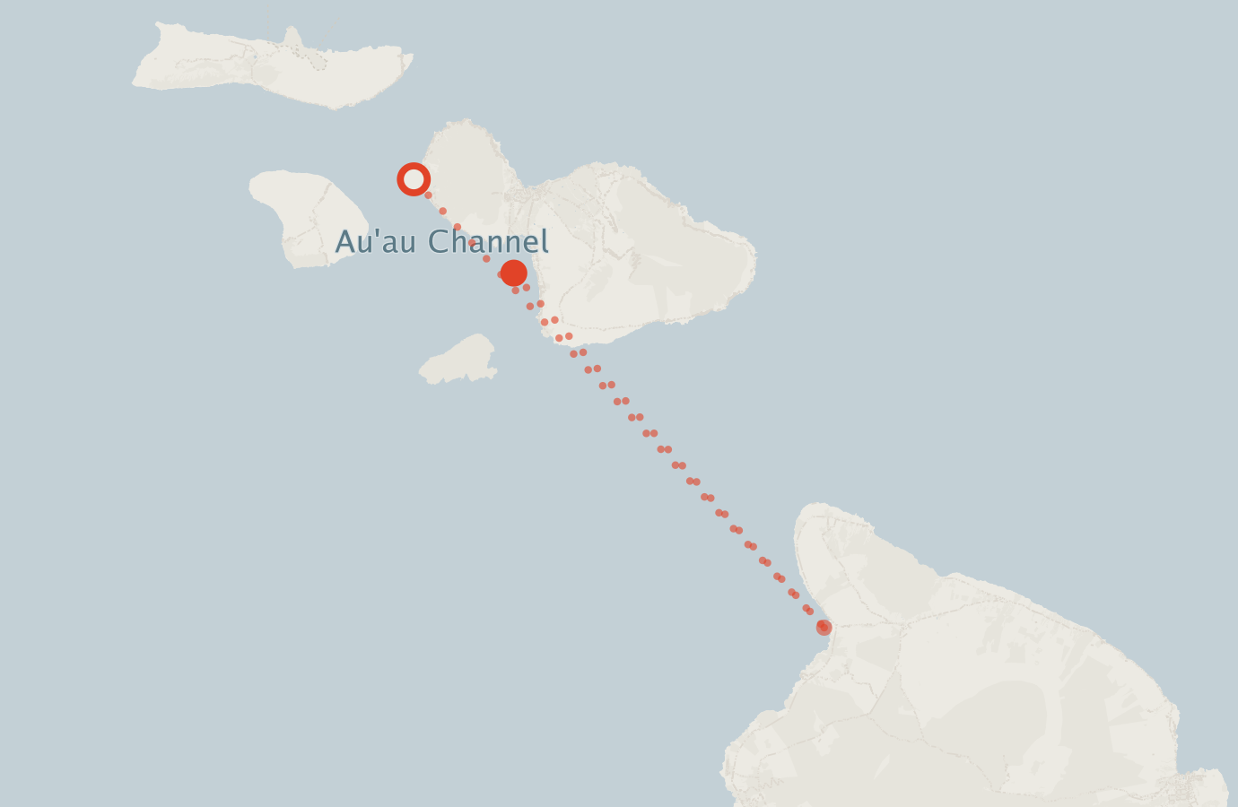 Activity map — real sighting points on an OpenStreetMap basemap