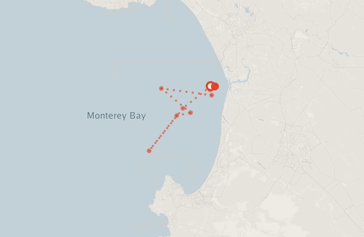 Activity map — real sighting points on an OpenStreetMap basemap
