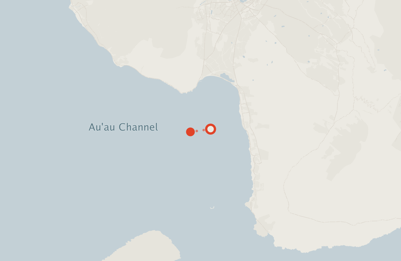 Activity map — real sighting points on an OpenStreetMap basemap