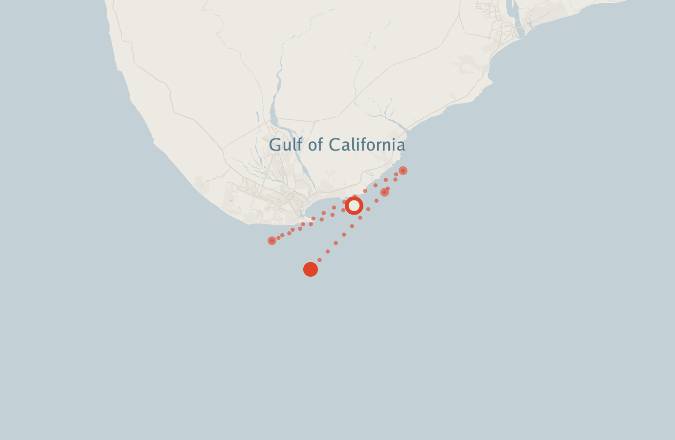 Activity map — real sighting points on an OpenStreetMap basemap