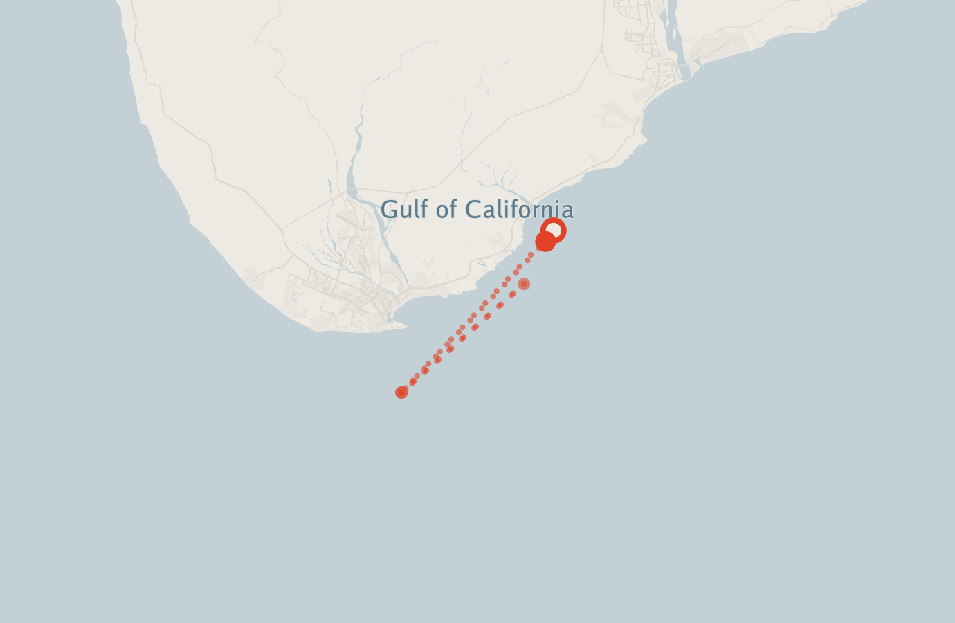 Activity map — real sighting points on an OpenStreetMap basemap