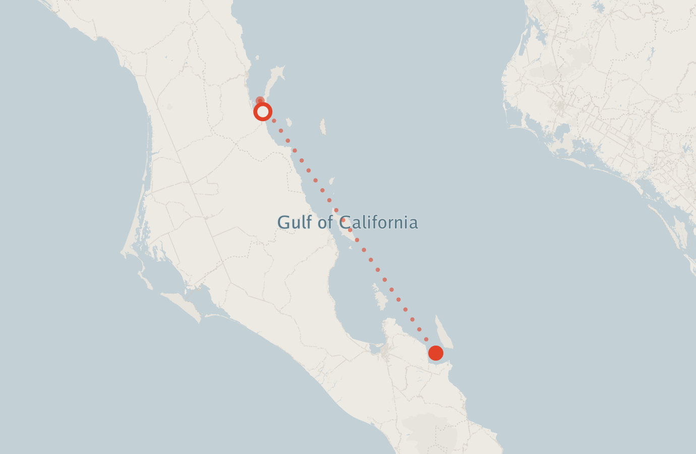 Activity map — real sighting points on an OpenStreetMap basemap