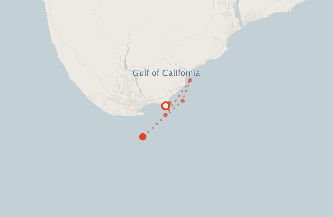 Activity map — real sighting points on an OpenStreetMap basemap