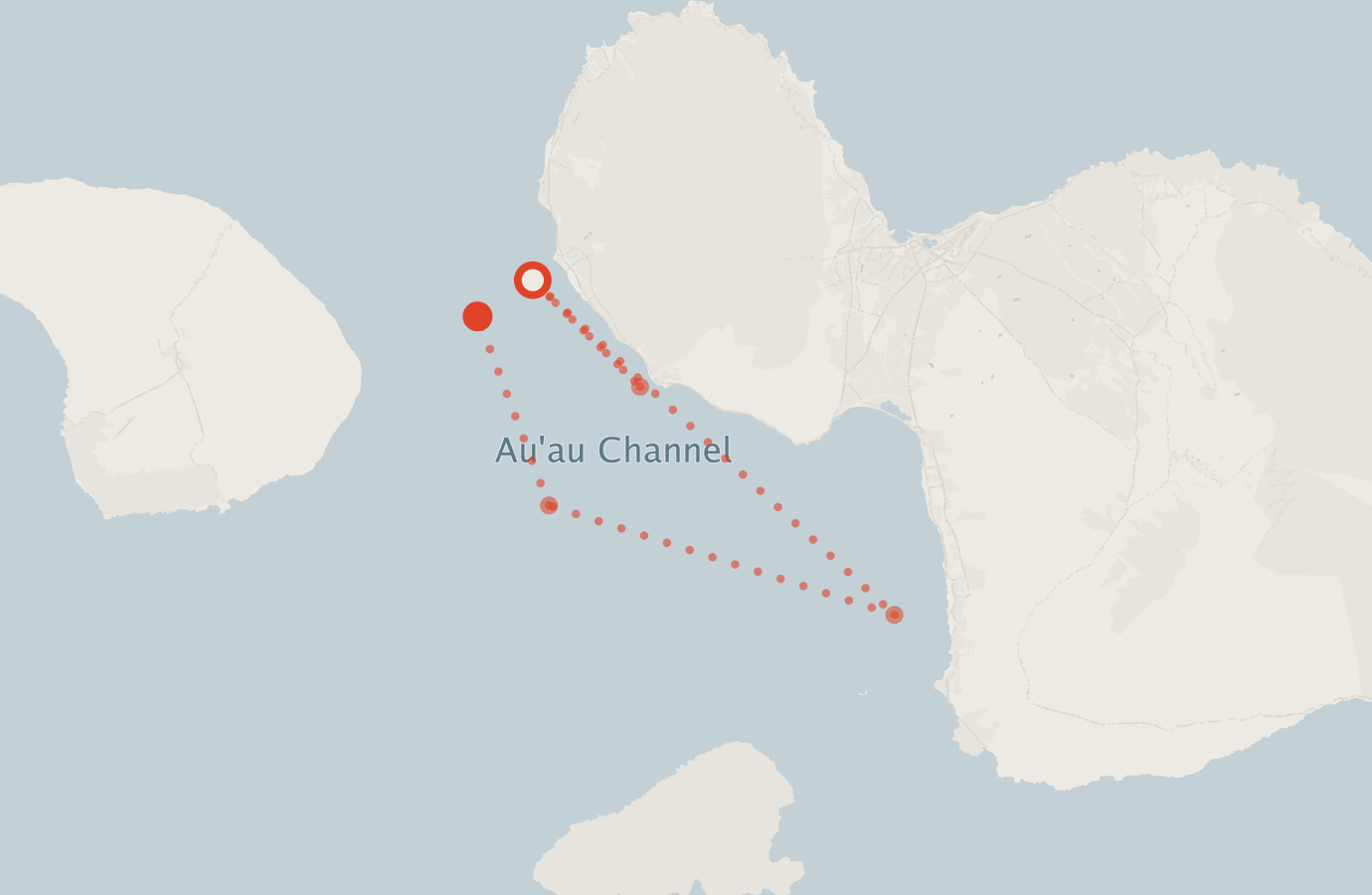 Activity map — real sighting points on an OpenStreetMap basemap