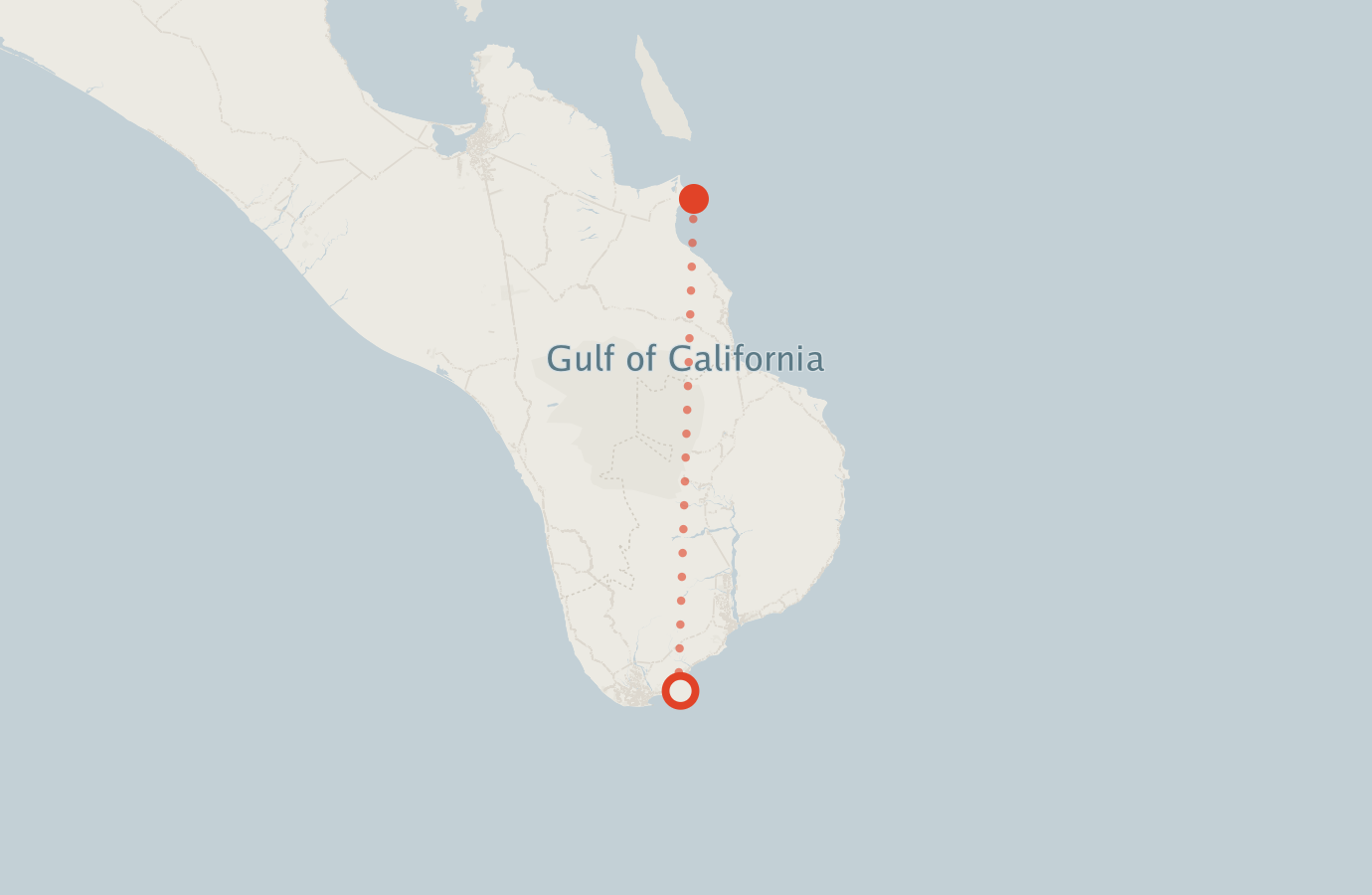 Activity map — real sighting points on an OpenStreetMap basemap