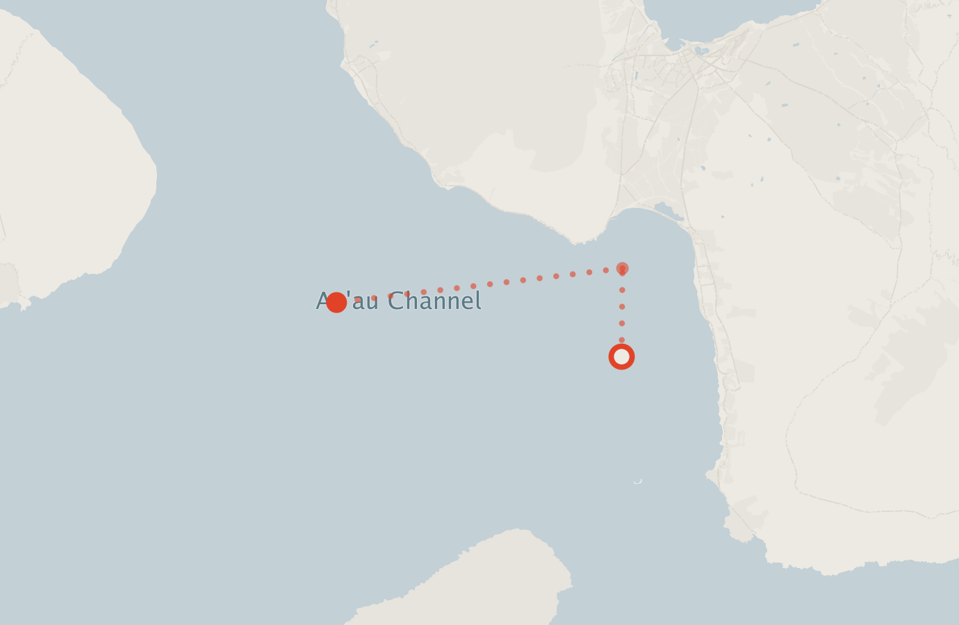 Activity map — real sighting points on an OpenStreetMap basemap