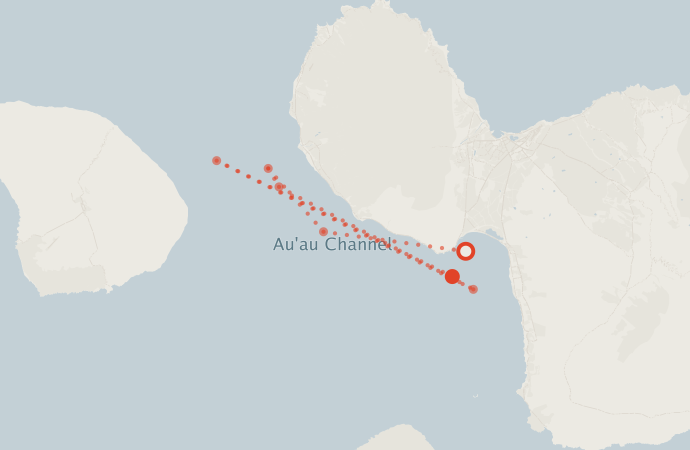 Activity map — real sighting points on an OpenStreetMap basemap