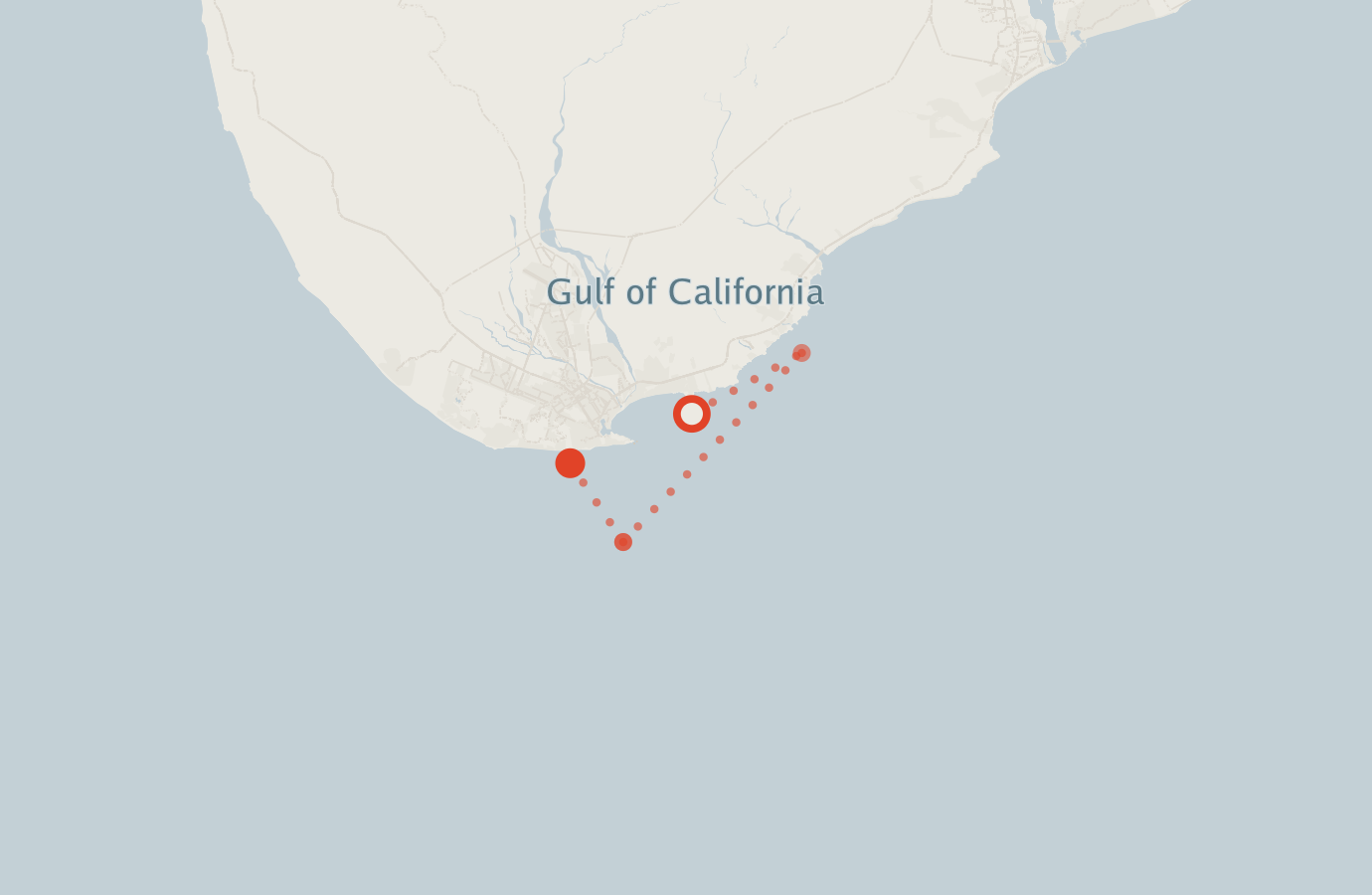 Activity map — real sighting points on an OpenStreetMap basemap