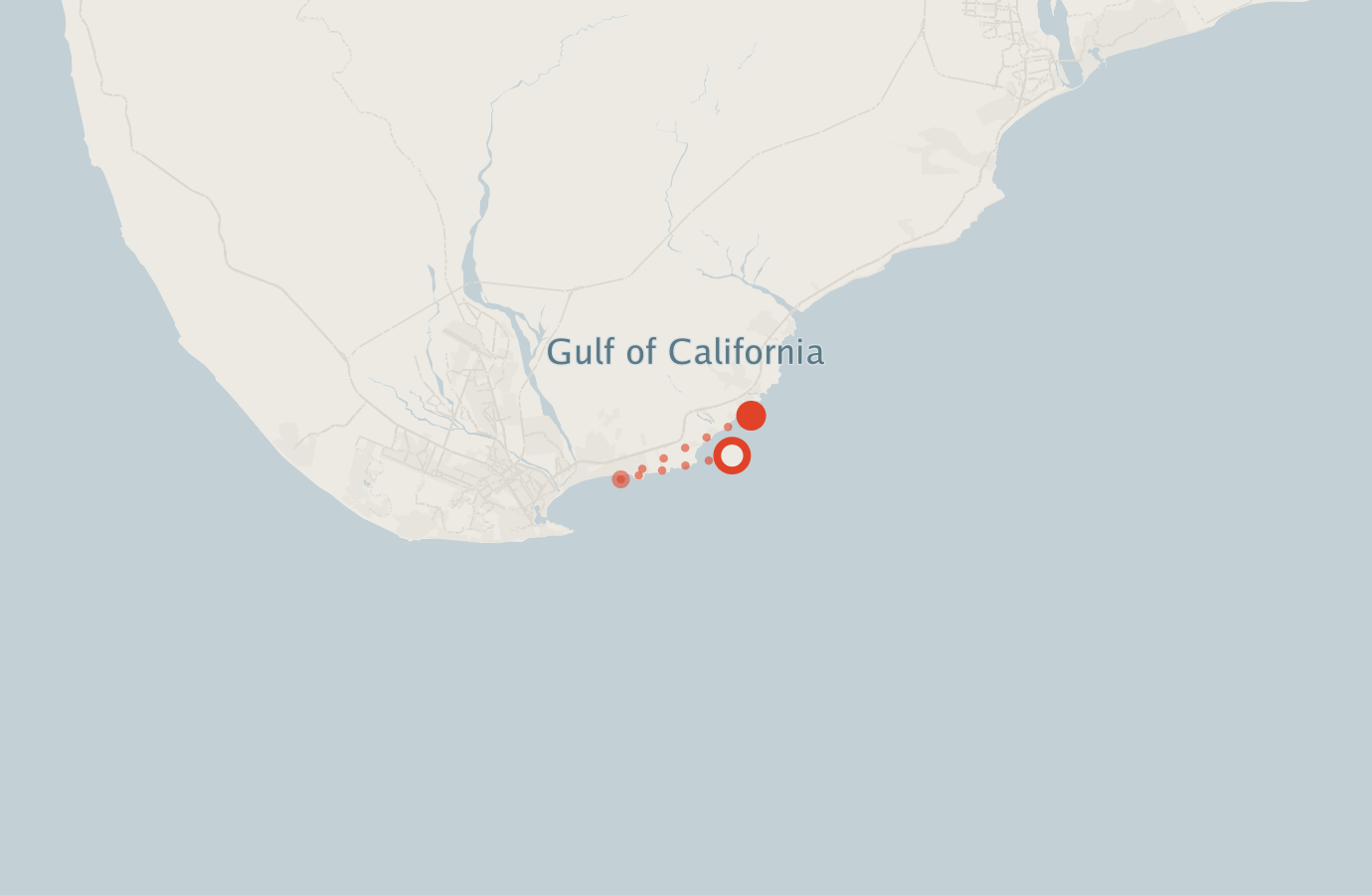 Activity map — real sighting points on an OpenStreetMap basemap