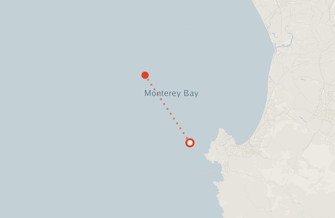 Activity map — real sighting points on an OpenStreetMap basemap