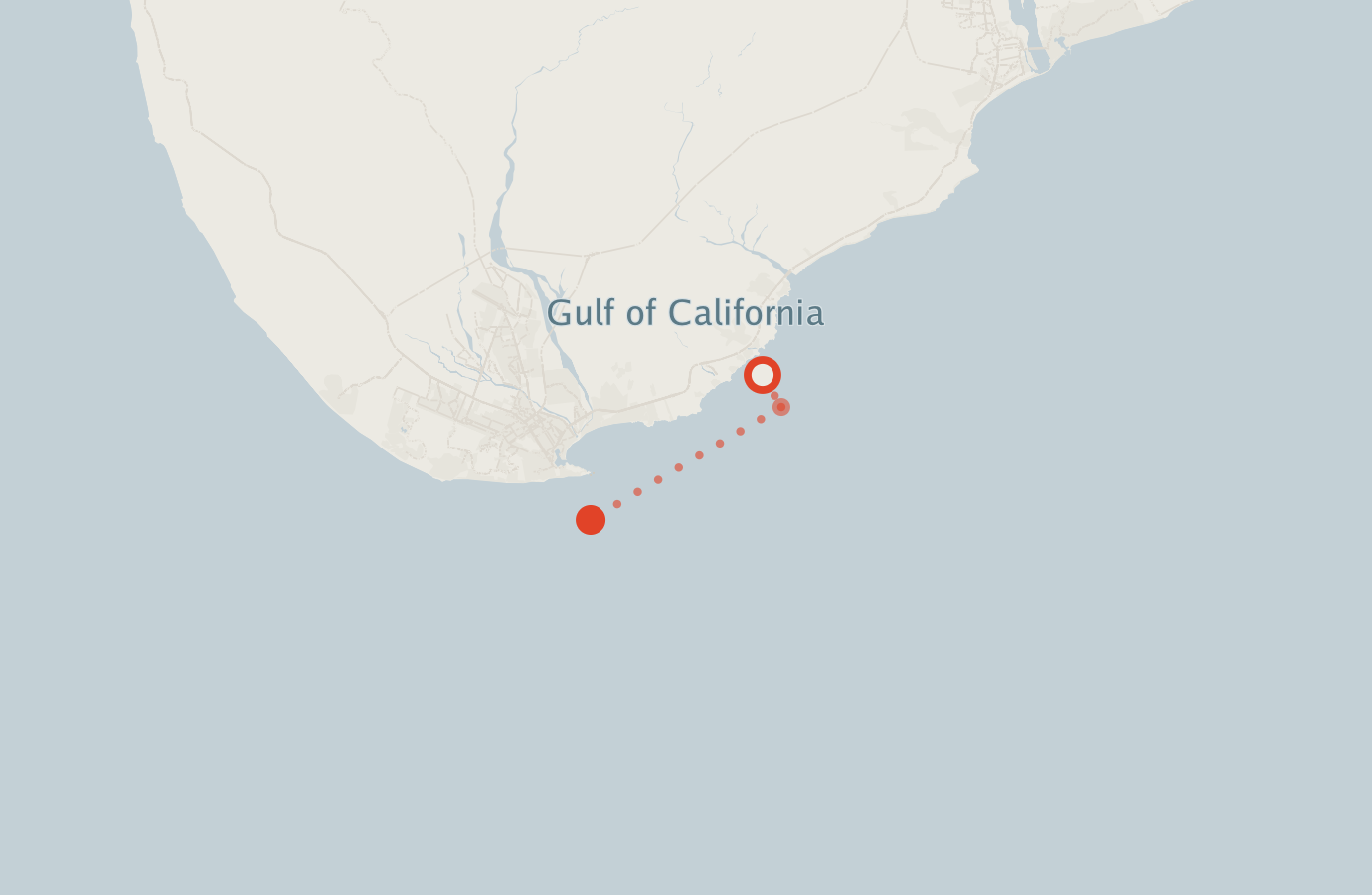 Activity map — real sighting points on an OpenStreetMap basemap