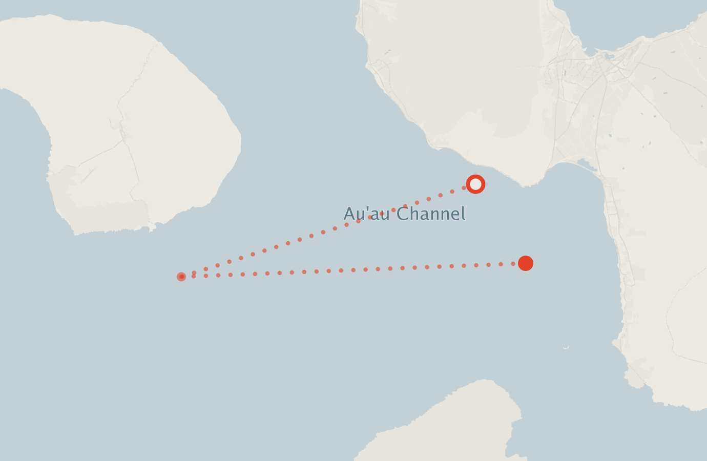 Activity map — real sighting points on an OpenStreetMap basemap