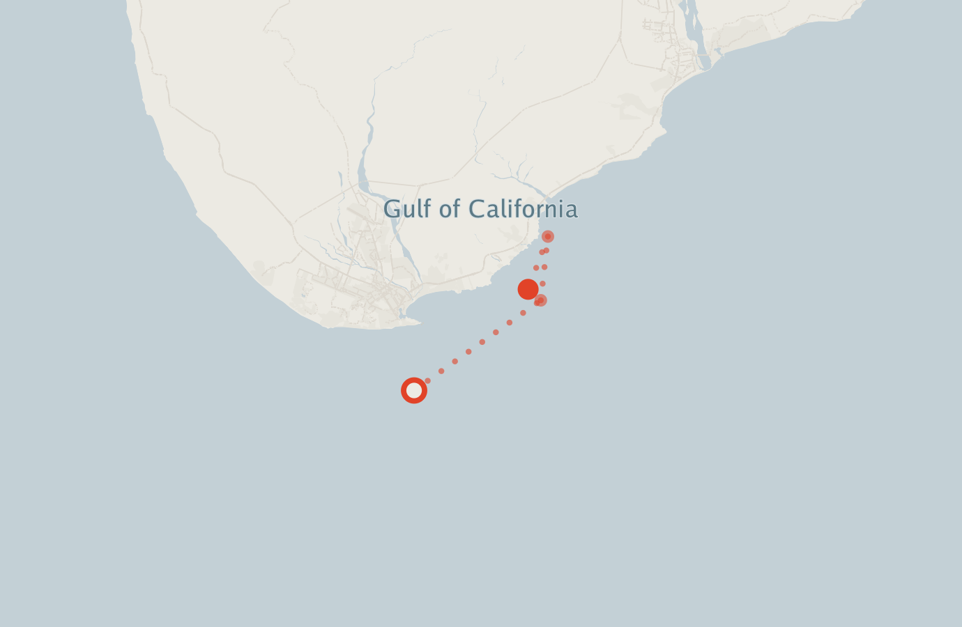 Activity map — real sighting points on an OpenStreetMap basemap