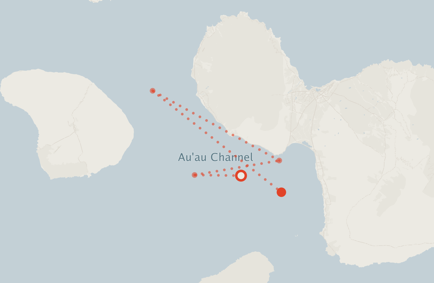 Activity map — real sighting points on an OpenStreetMap basemap
