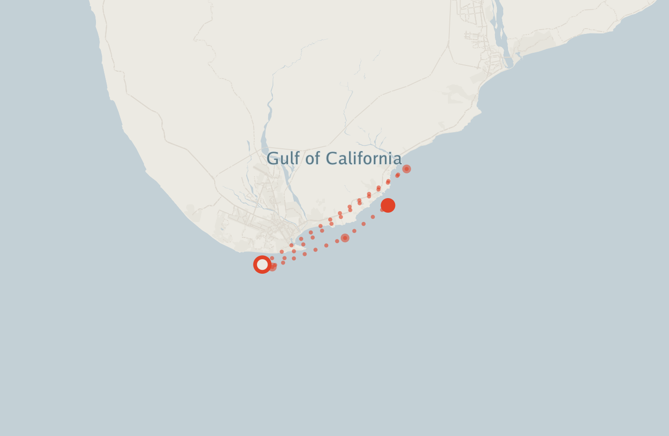 Activity map — real sighting points on an OpenStreetMap basemap