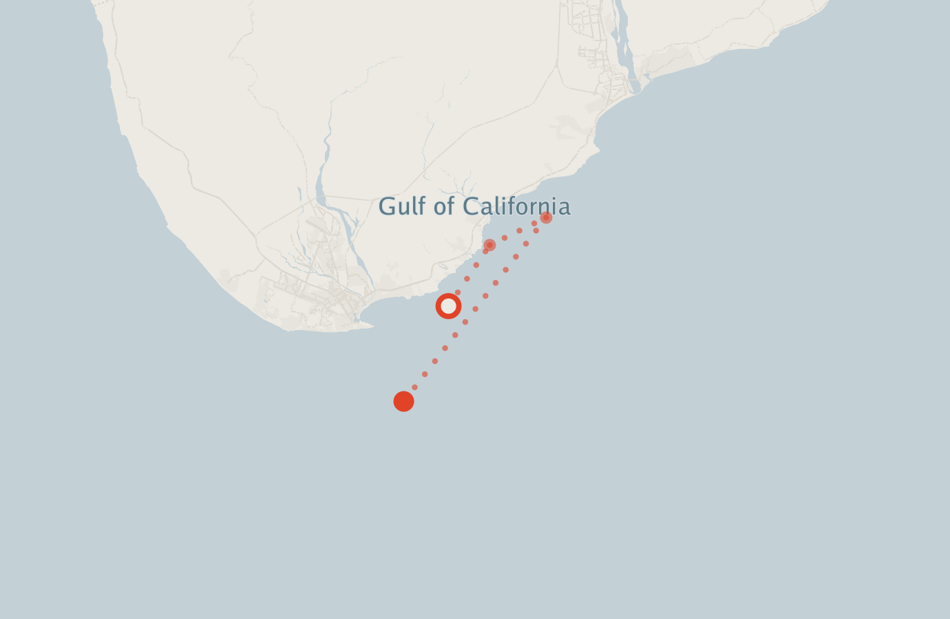 Activity map — real sighting points on an OpenStreetMap basemap