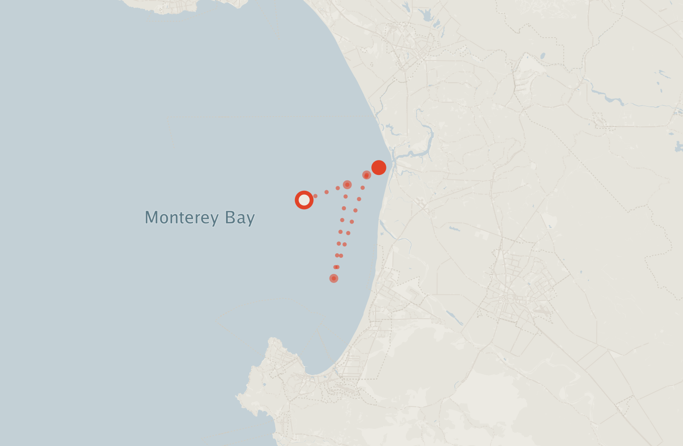 Activity map — real sighting points on an OpenStreetMap basemap