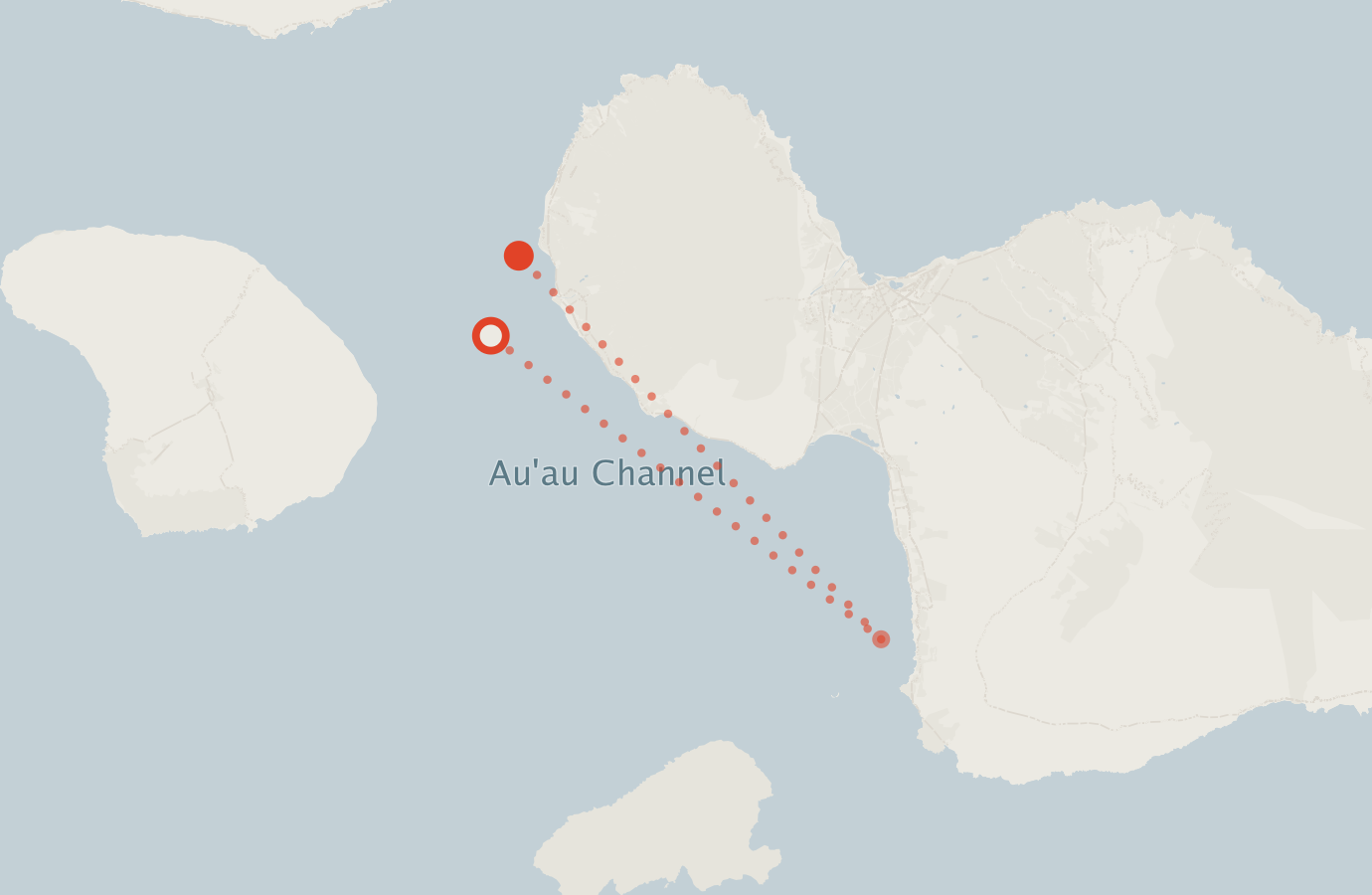 Activity map — real sighting points on an OpenStreetMap basemap