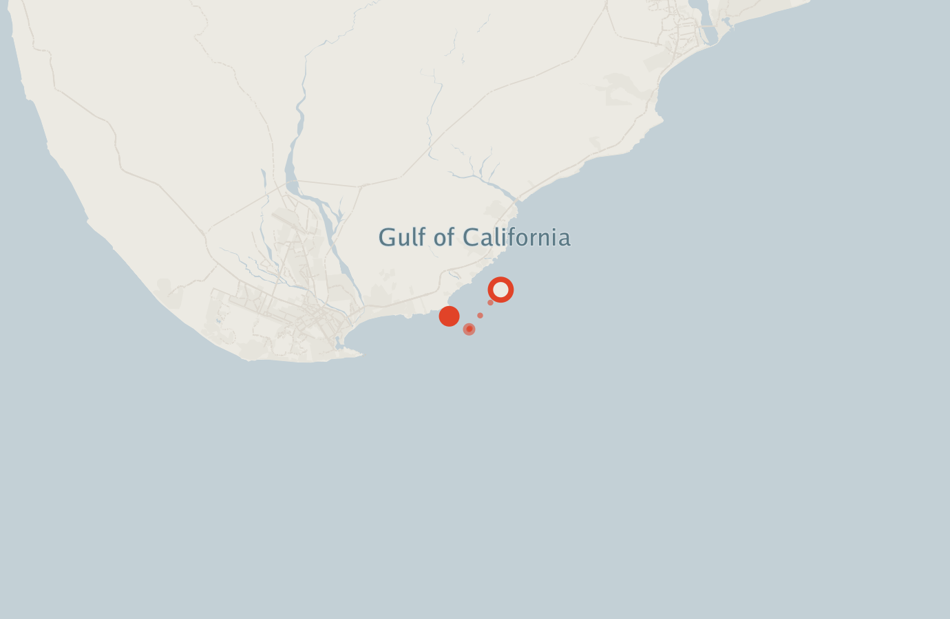 Activity map — real sighting points on an OpenStreetMap basemap