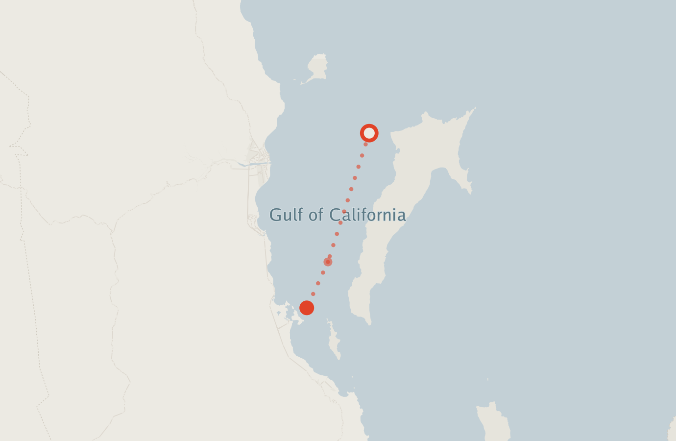 Activity map — real sighting points on an OpenStreetMap basemap