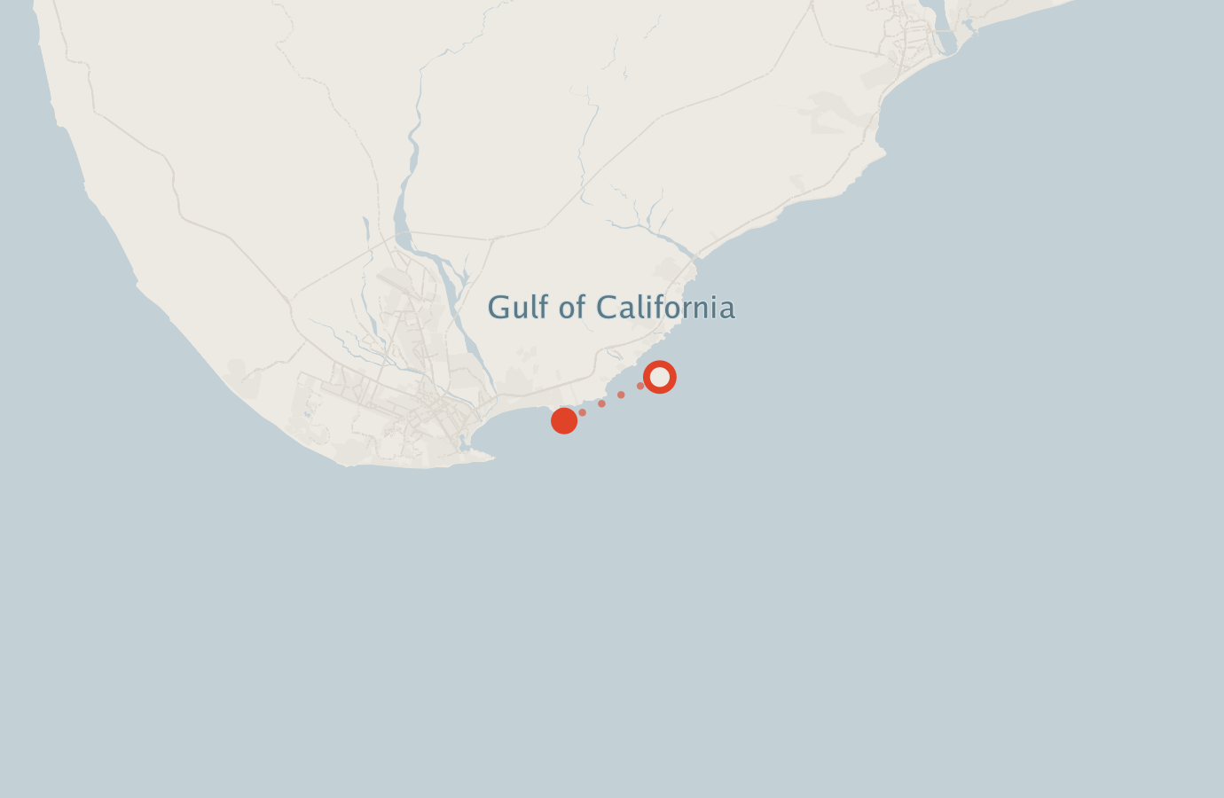 Activity map — real sighting points on an OpenStreetMap basemap