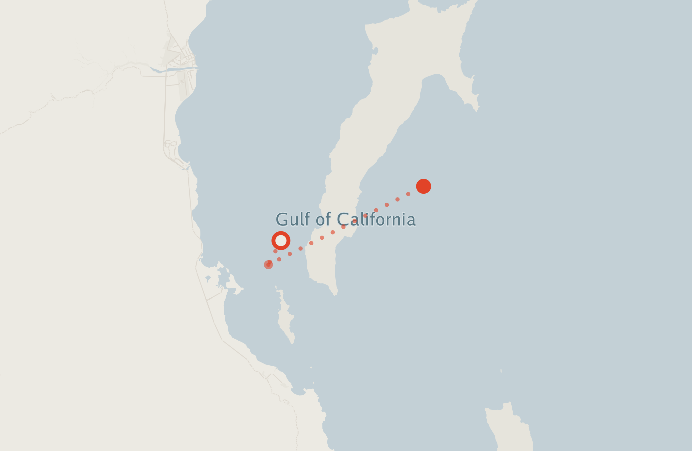 Activity map — real sighting points on an OpenStreetMap basemap