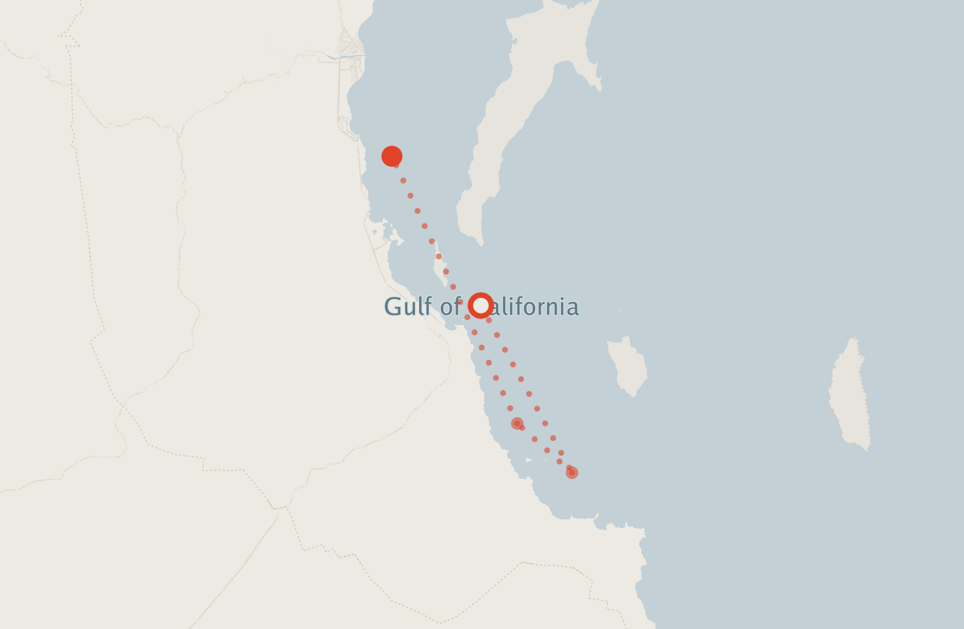 Activity map — real sighting points on an OpenStreetMap basemap