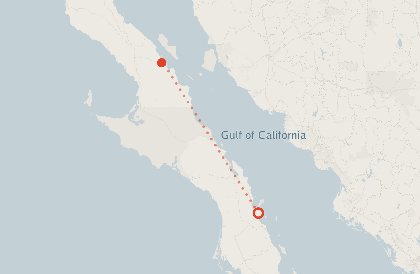 Activity map — real sighting points on an OpenStreetMap basemap