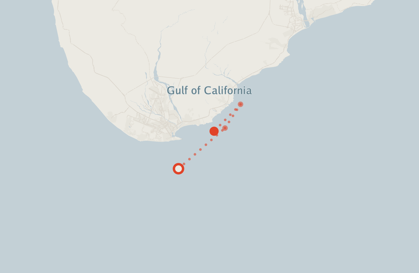 Activity map — real sighting points on an OpenStreetMap basemap