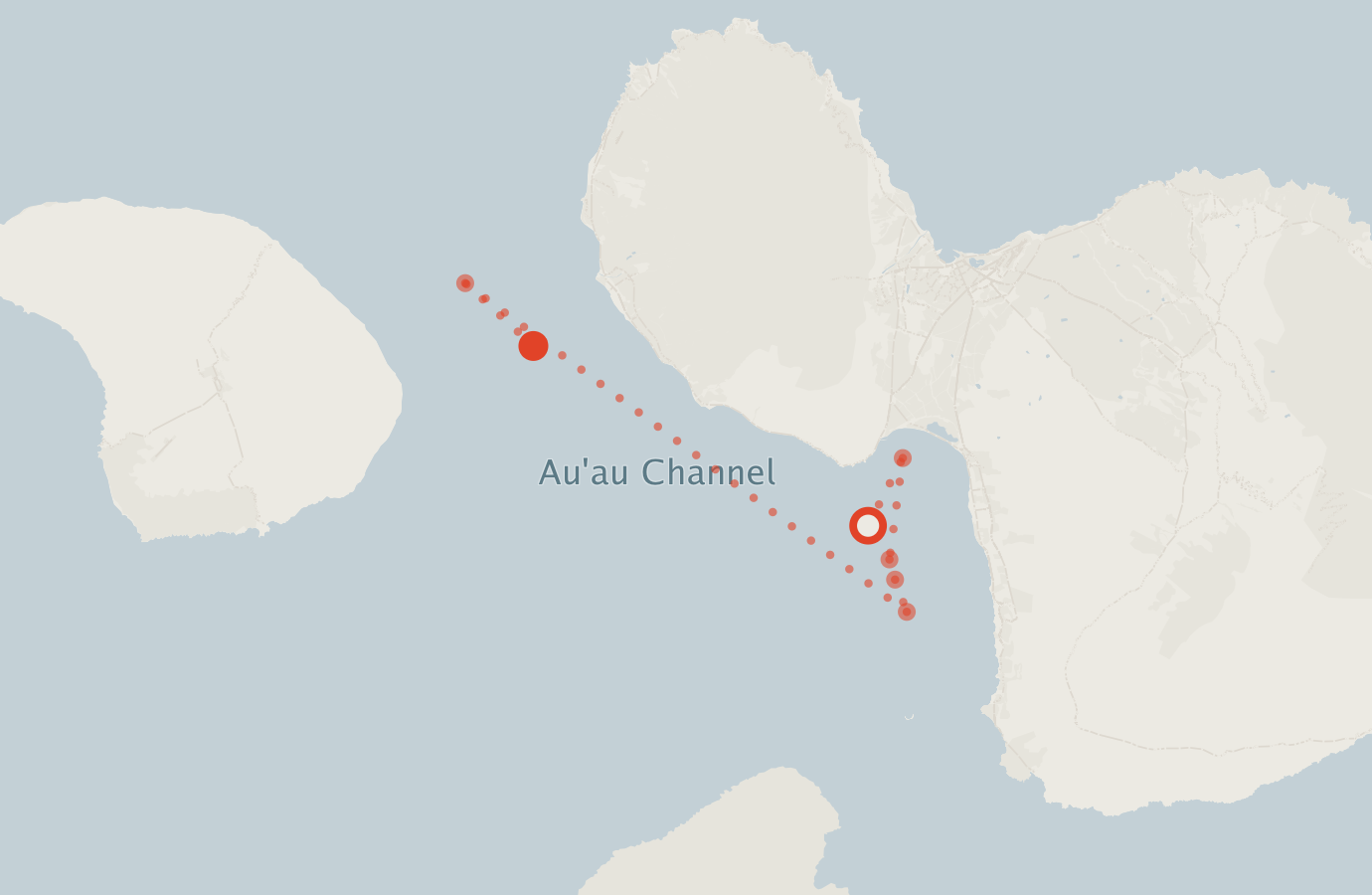 Activity map — real sighting points on an OpenStreetMap basemap