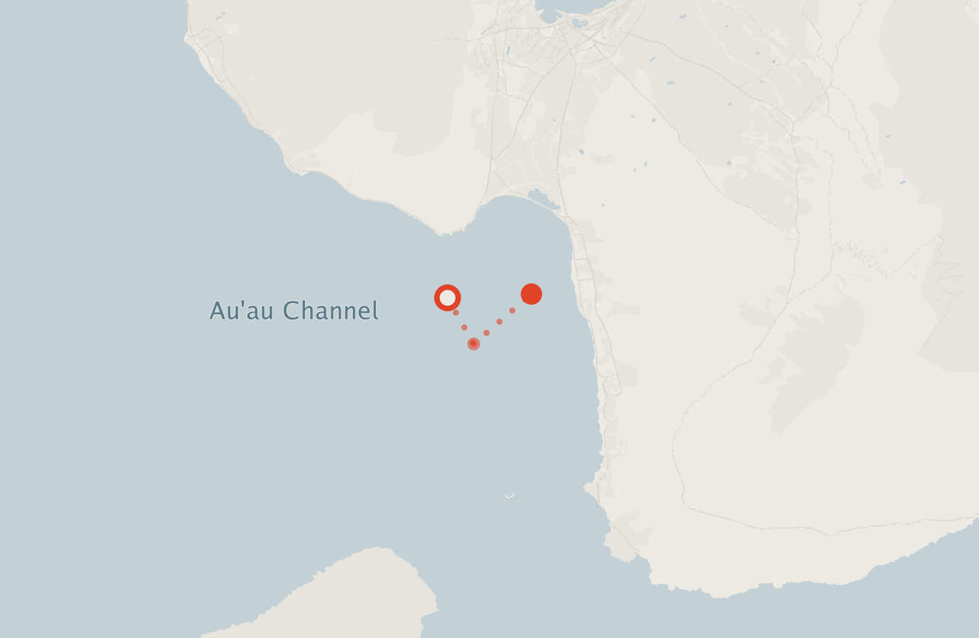 Activity map — real sighting points on an OpenStreetMap basemap