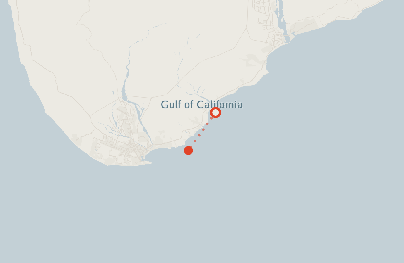 Activity map — real sighting points on an OpenStreetMap basemap
