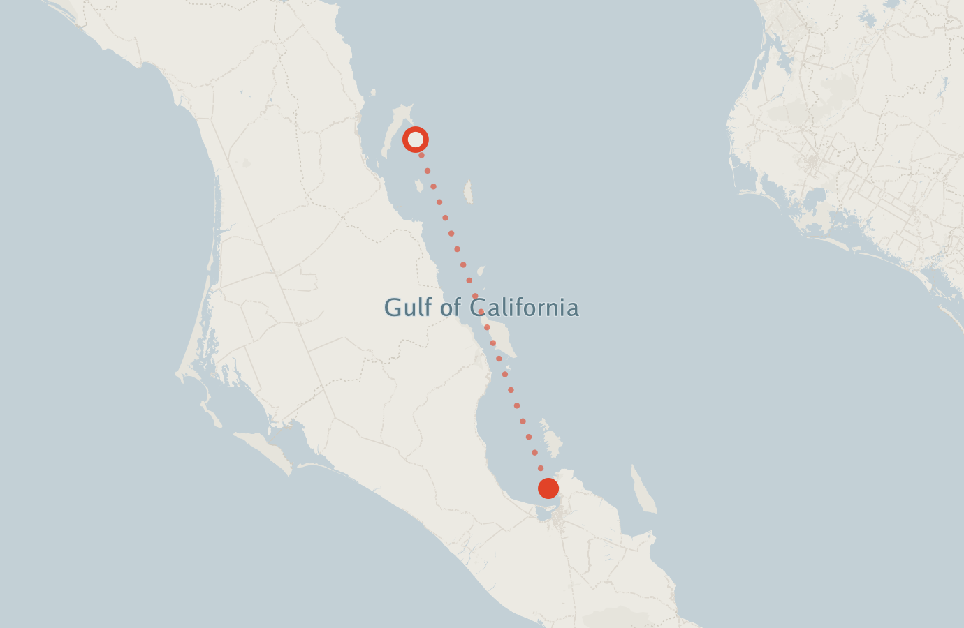 Activity map — real sighting points on an OpenStreetMap basemap