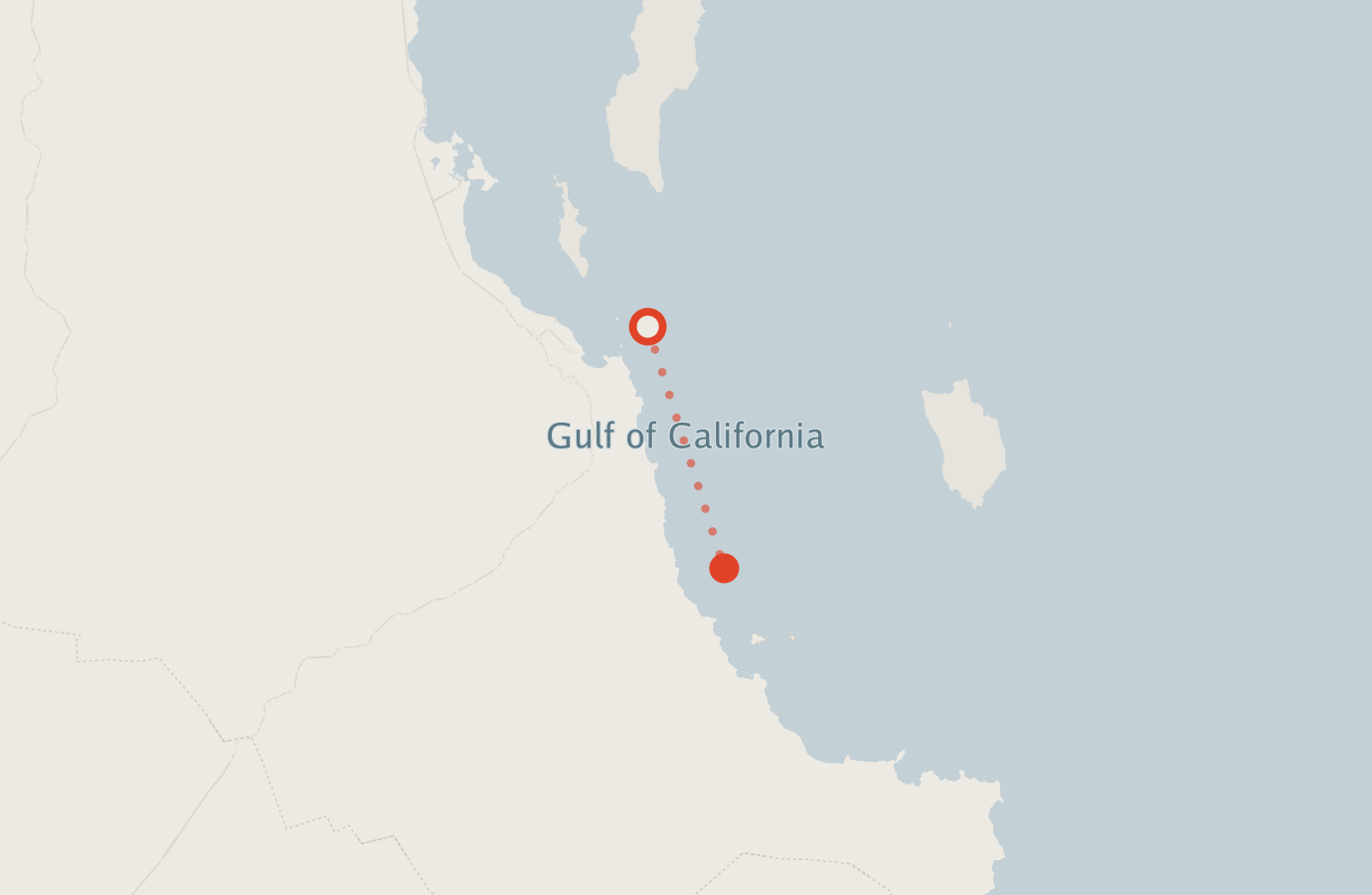 Activity map — real sighting points on an OpenStreetMap basemap