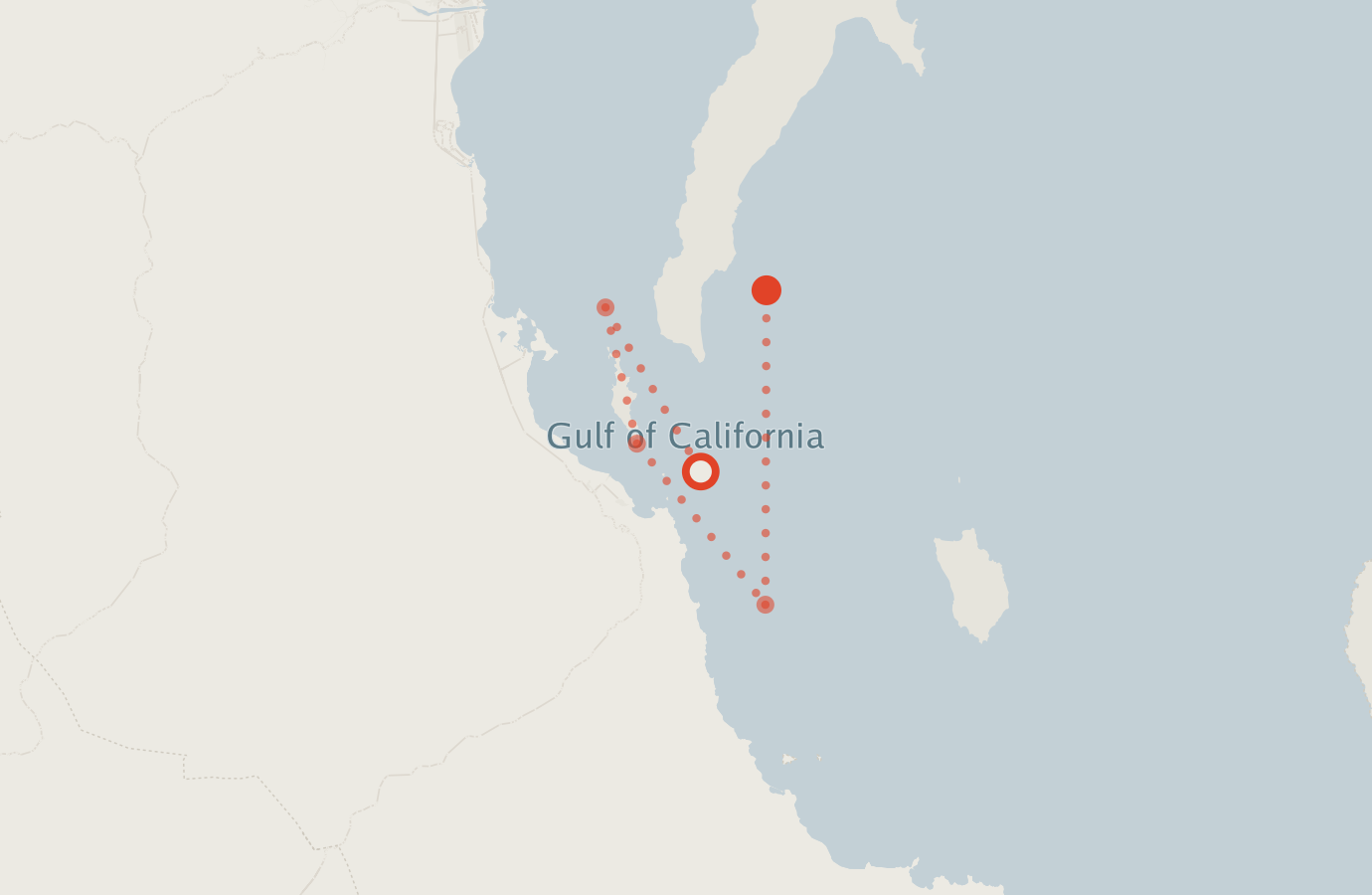 Activity map — real sighting points on an OpenStreetMap basemap