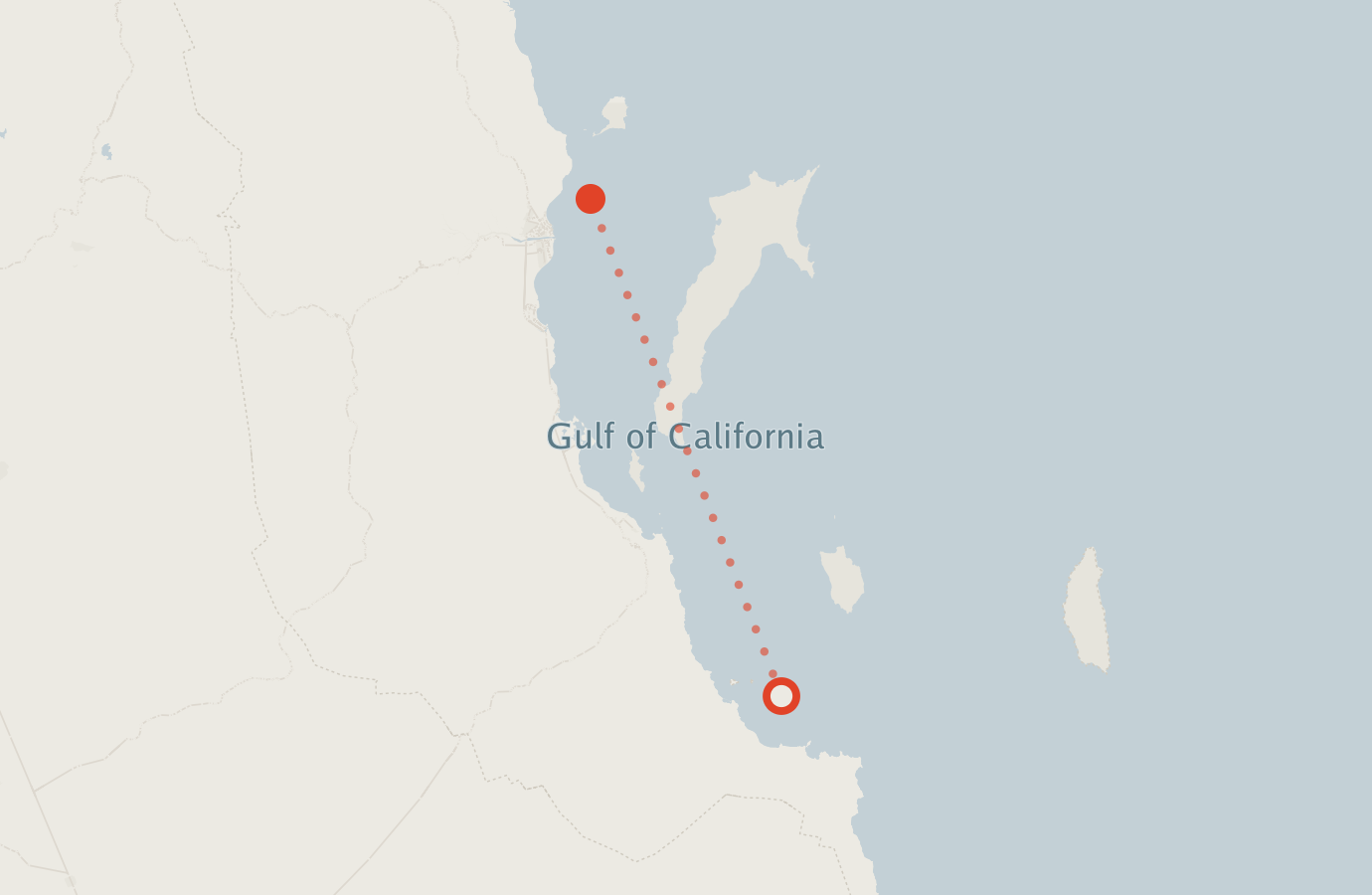 Activity map — real sighting points on an OpenStreetMap basemap