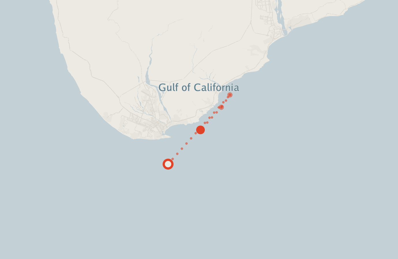Activity map — real sighting points on an OpenStreetMap basemap