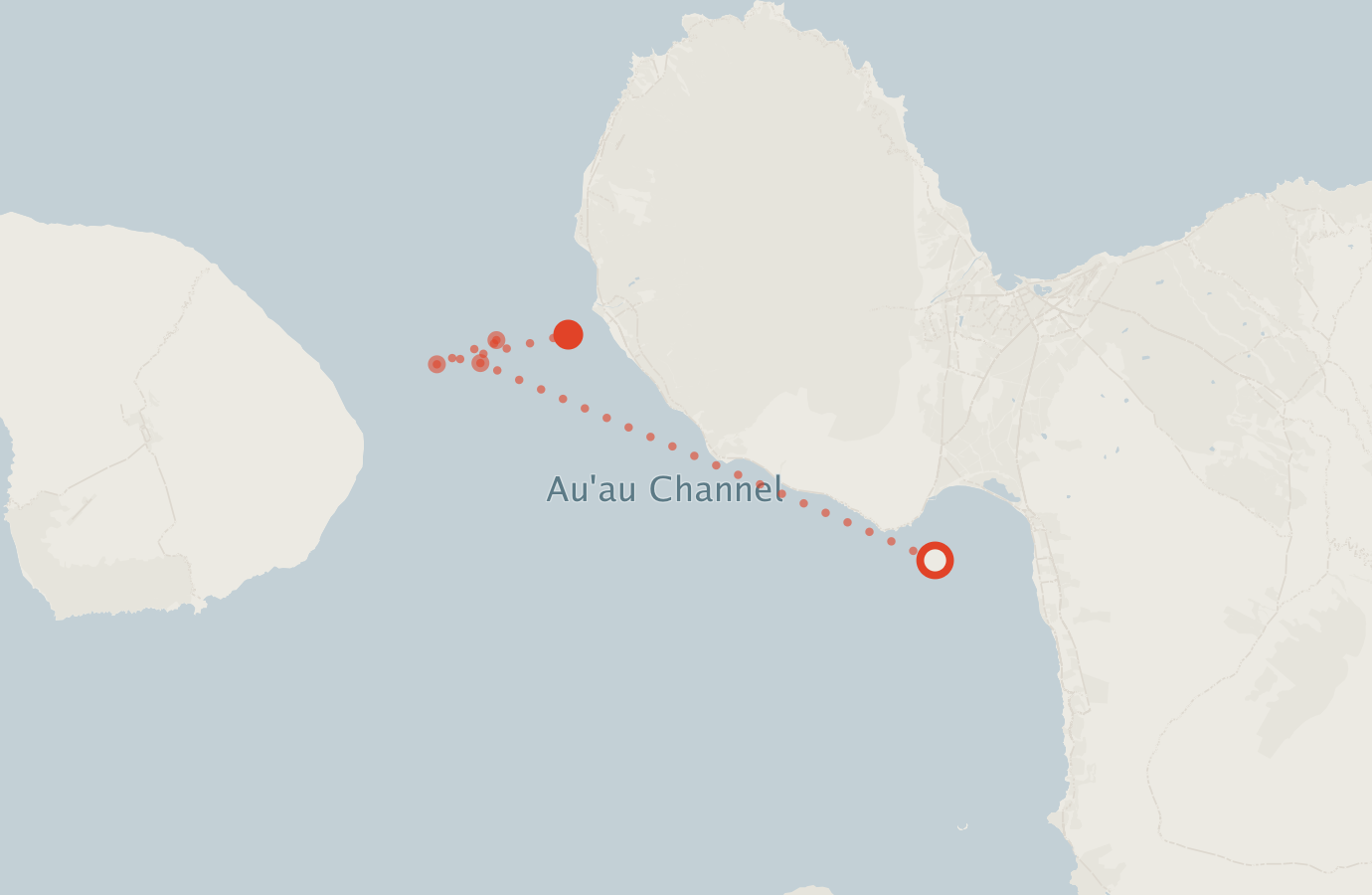 Activity map — real sighting points on an OpenStreetMap basemap